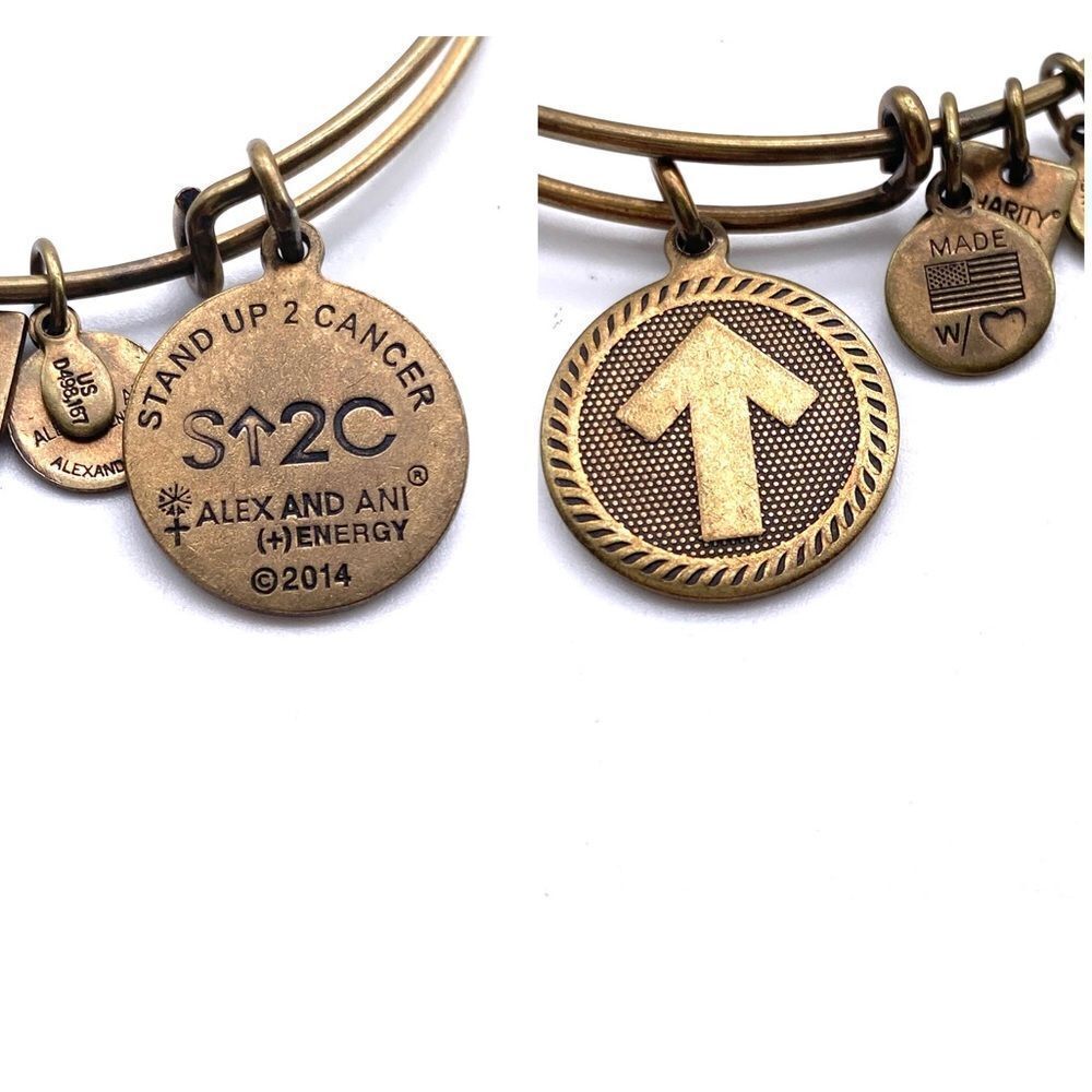 Alex & Ani Stand Up to Cancer Gold tone bracelet bangle‎ S⬆️2C alex and ani
